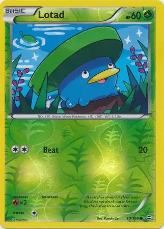 Lotad, catalogue front