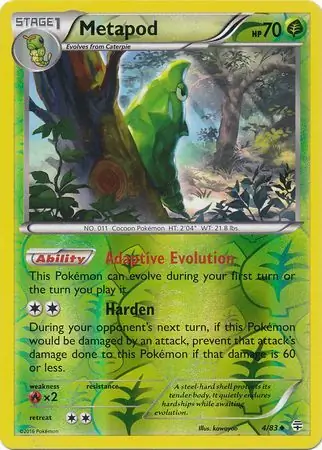 Metapod, catalogue front