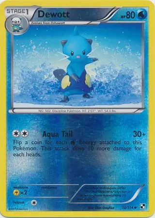 Dewott, catalogue front