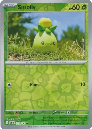 Smoliv, catalogue front