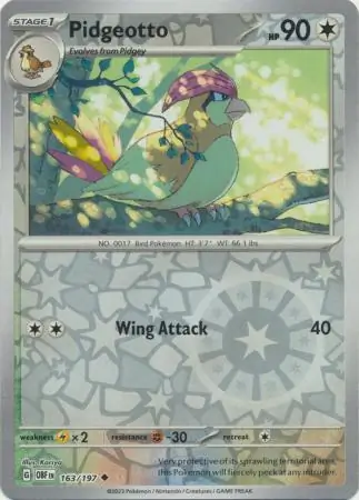 Pidgeotto, catalogue front