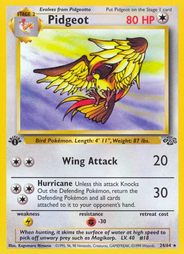 Pidgeot, catalogue front