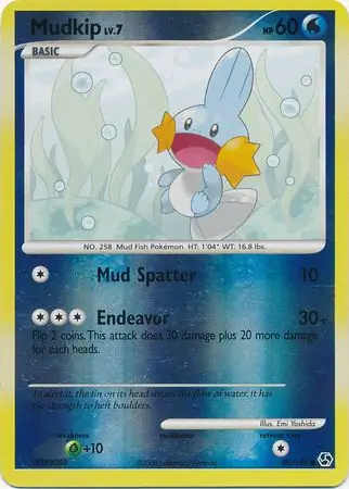 Mudkip, catalogue front
