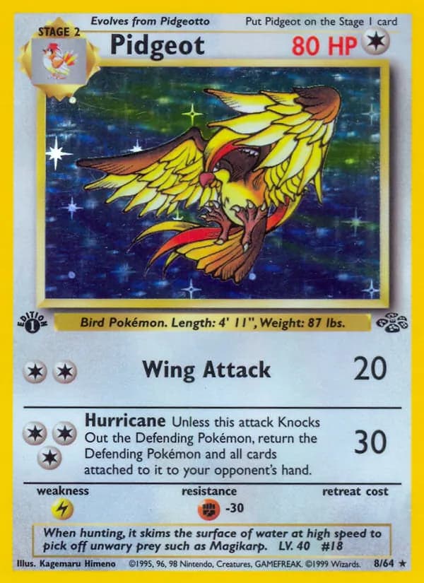 Pidgeot, catalogue front