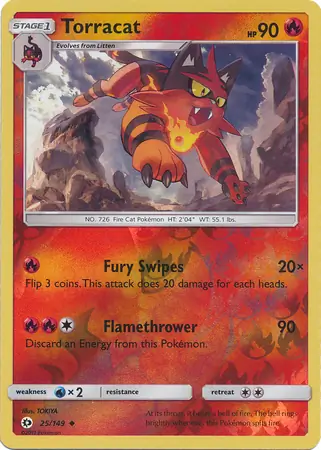 Torracat, catalogue front