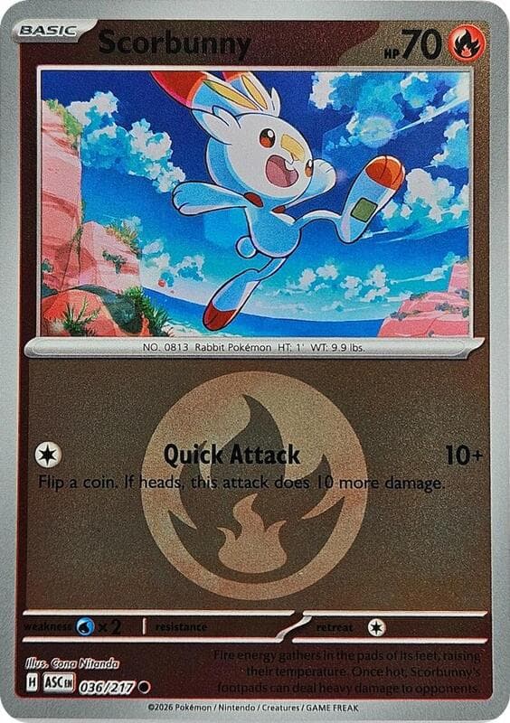 Scorbunny, catalogue front