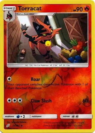Torracat, catalogue front
