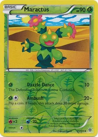 Maractus, catalogue front