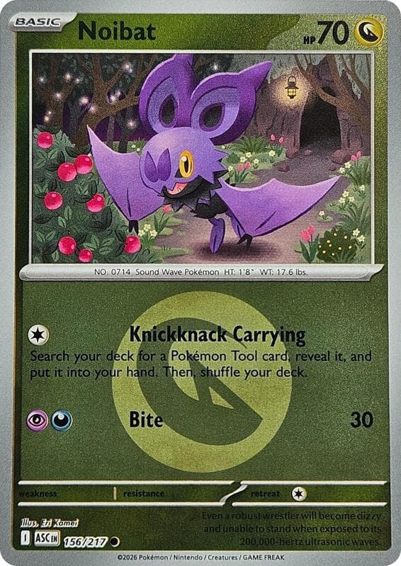 Noibat, catalogue front