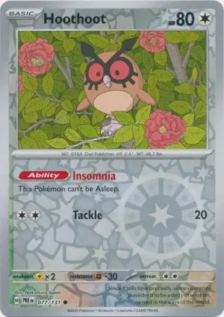 Hoothoot, catalogue front