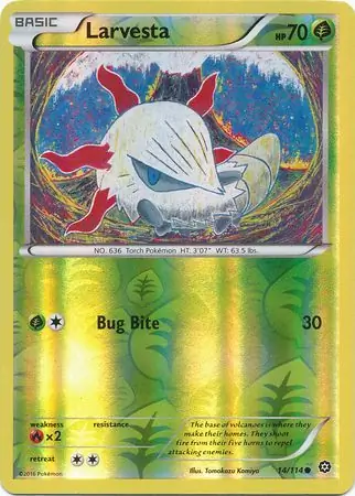 Larvesta, catalogue front