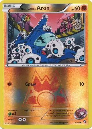 Team Magma's Aron, catalogue front