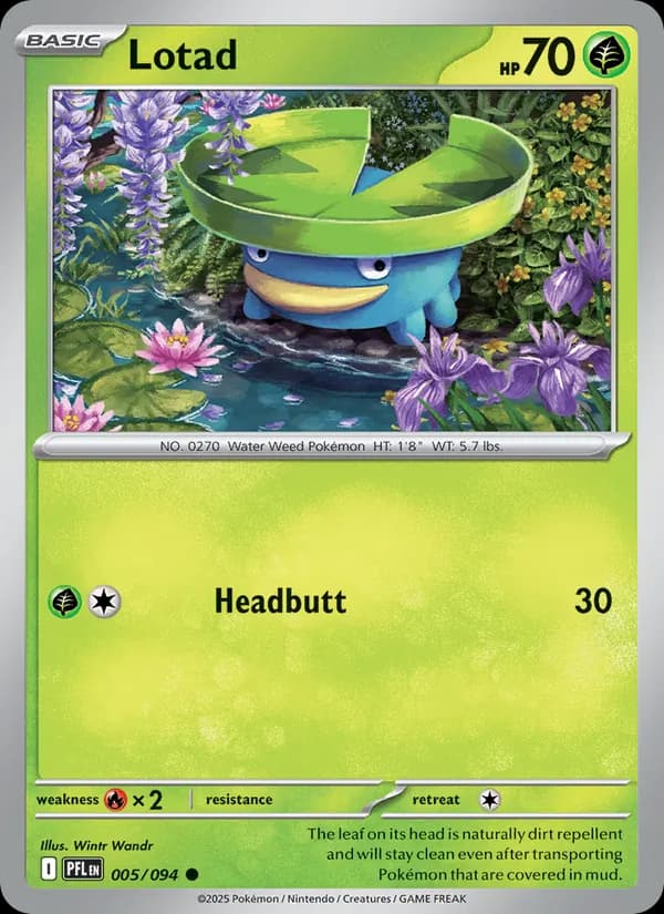 Lotad, catalogue front