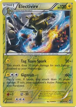 Electivire, catalogue front