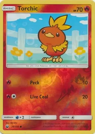 Torchic, catalogue front