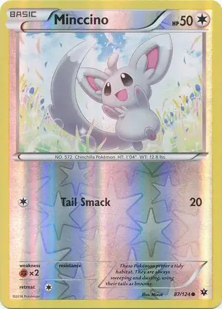 Minccino, catalogue front