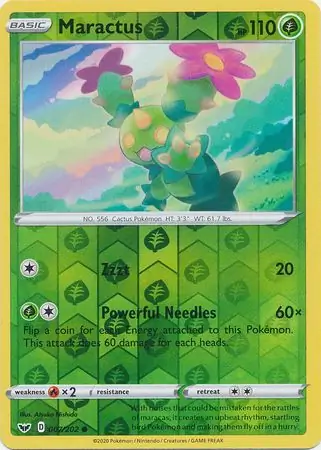 Maractus, catalogue front