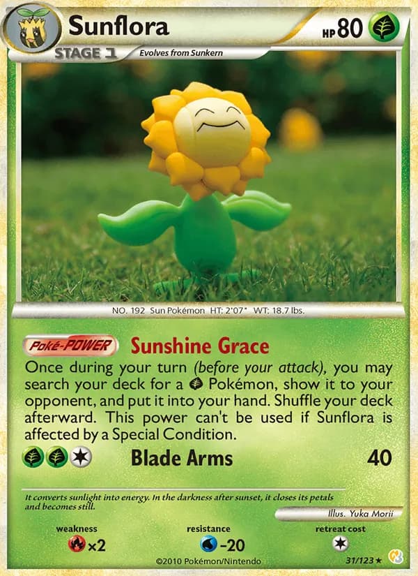 Sunflora, catalogue front