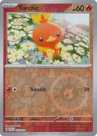 Torchic, catalogue front