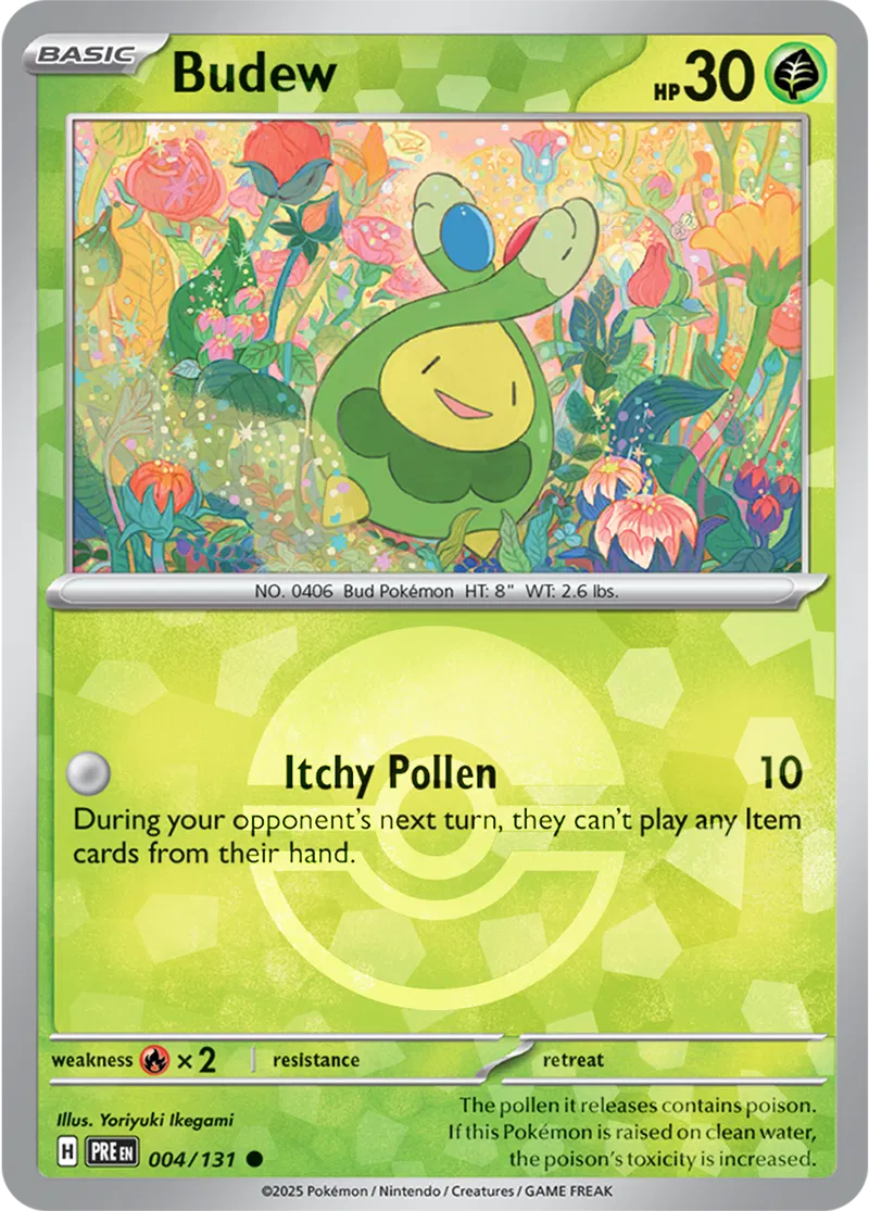 Budew, catalogue front