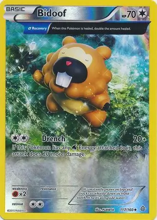 Bidoof, catalogue front