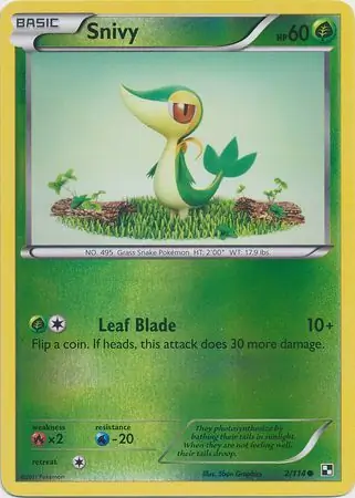 Snivy, catalogue front