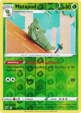 Metapod, catalogue front