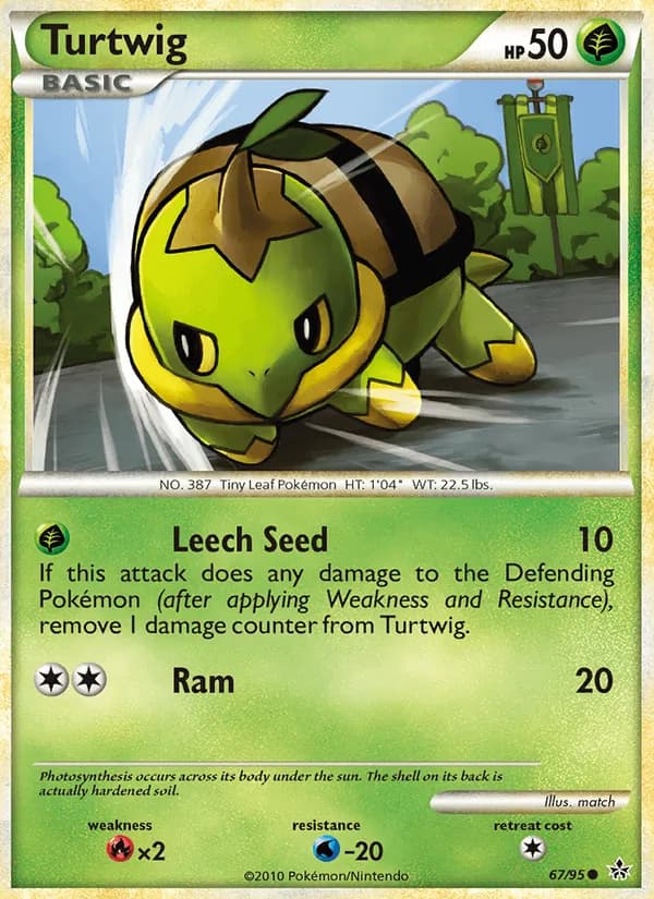 Turtwig, catalogue front