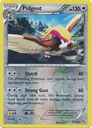Pidgeot, catalogue front