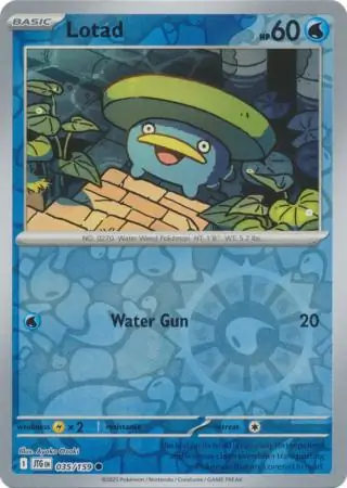 Lotad, catalogue front