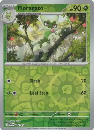 Floragato, catalogue front