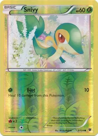 Snivy, catalogue front
