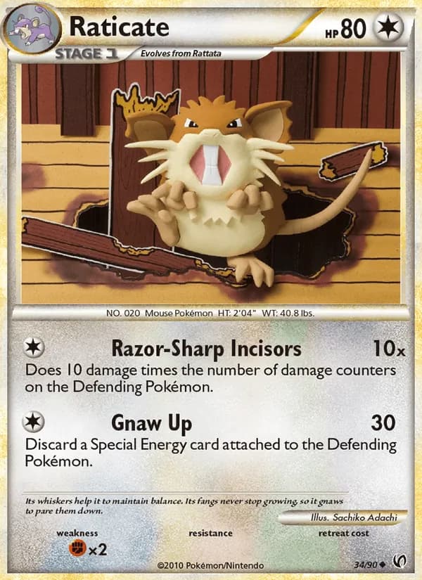 Raticate, catalogue front