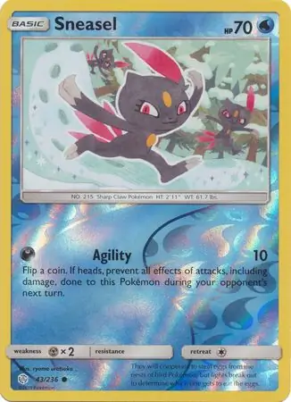 Sneasel, catalogue front