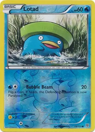 Lotad, catalogue front