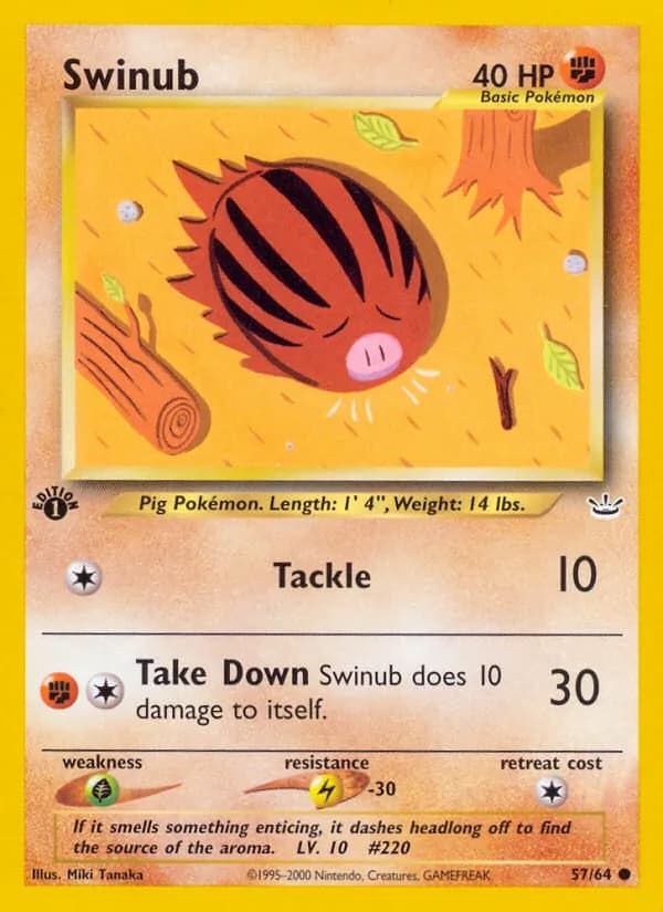 Swinub, catalogue front