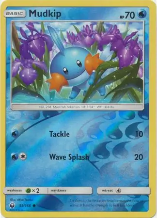 Mudkip, catalogue front