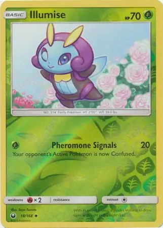 Illumise, catalogue front