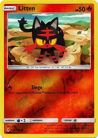 Litten, catalogue front