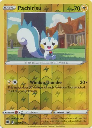Pachirisu, catalogue front