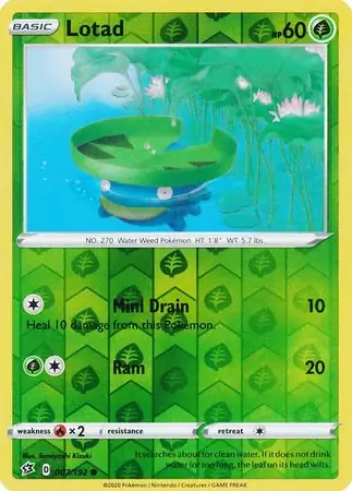Lotad, catalogue front