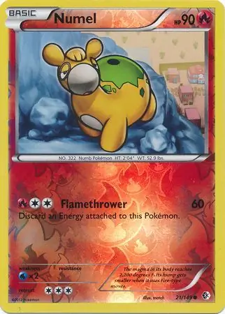 Numel, catalogue front