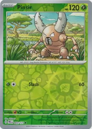 Pinsir, catalogue front