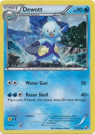 Dewott, catalogue front