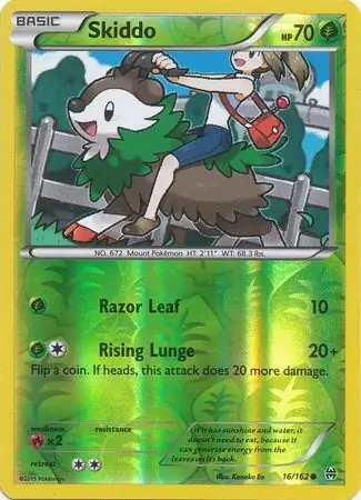 Skiddo, catalogue front