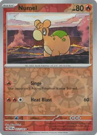Numel, catalogue front