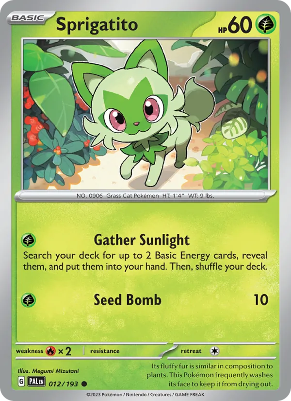Sprigatito, catalogue front