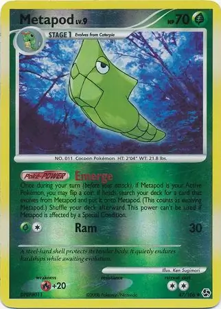 Metapod, catalogue front