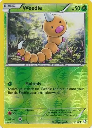 Weedle, catalogue front
