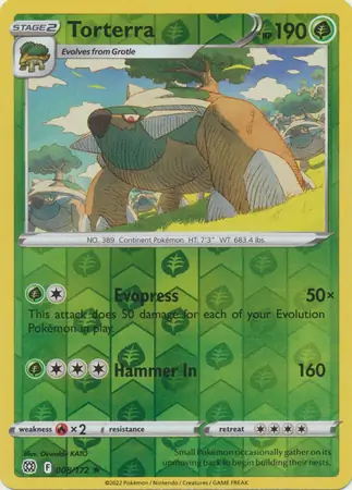 Torterra, catalogue front